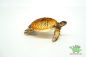 Preview: Schleich Meeresschildkröte 14695